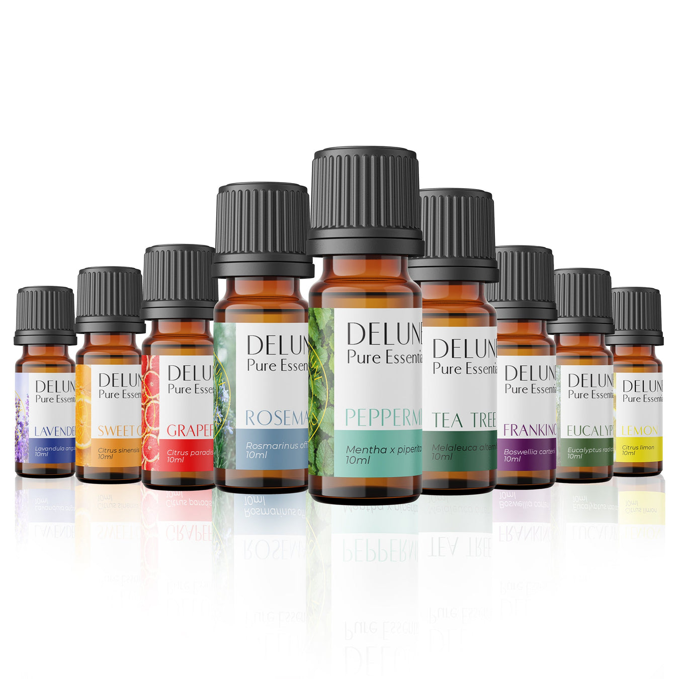 Pure Essential Oil Sets