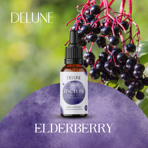 Delune Organic Elderberry Herbal Tincture