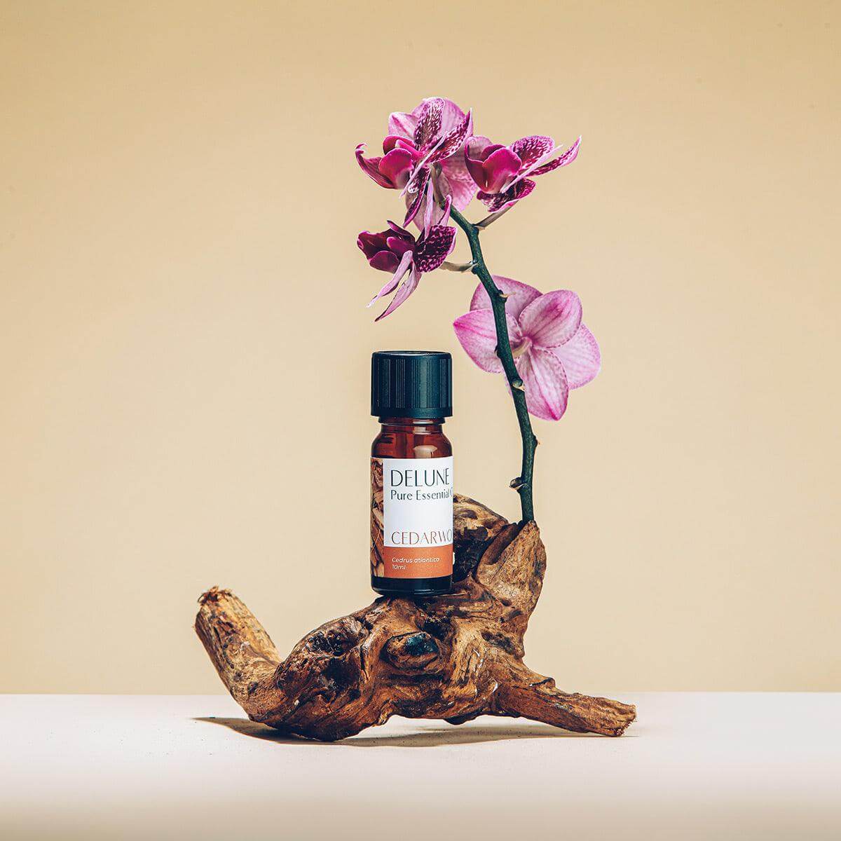 Cedarwood Pure Essential Oil bottle with pink orchid on driftwood, evoking a calm and natural ambiance, ideal for aromatherapy.
