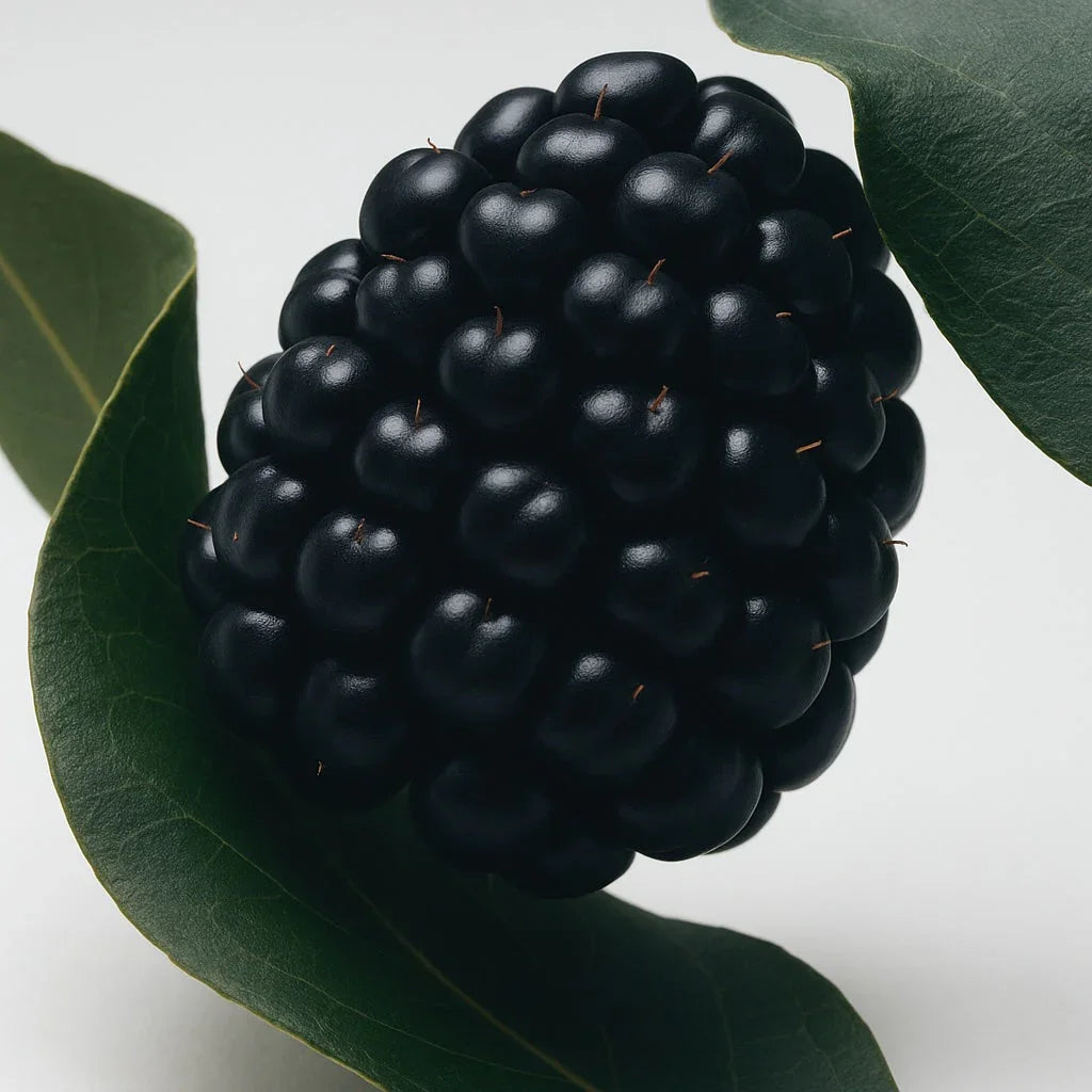 Bramble & Blackberry - Bar Soap - Delune