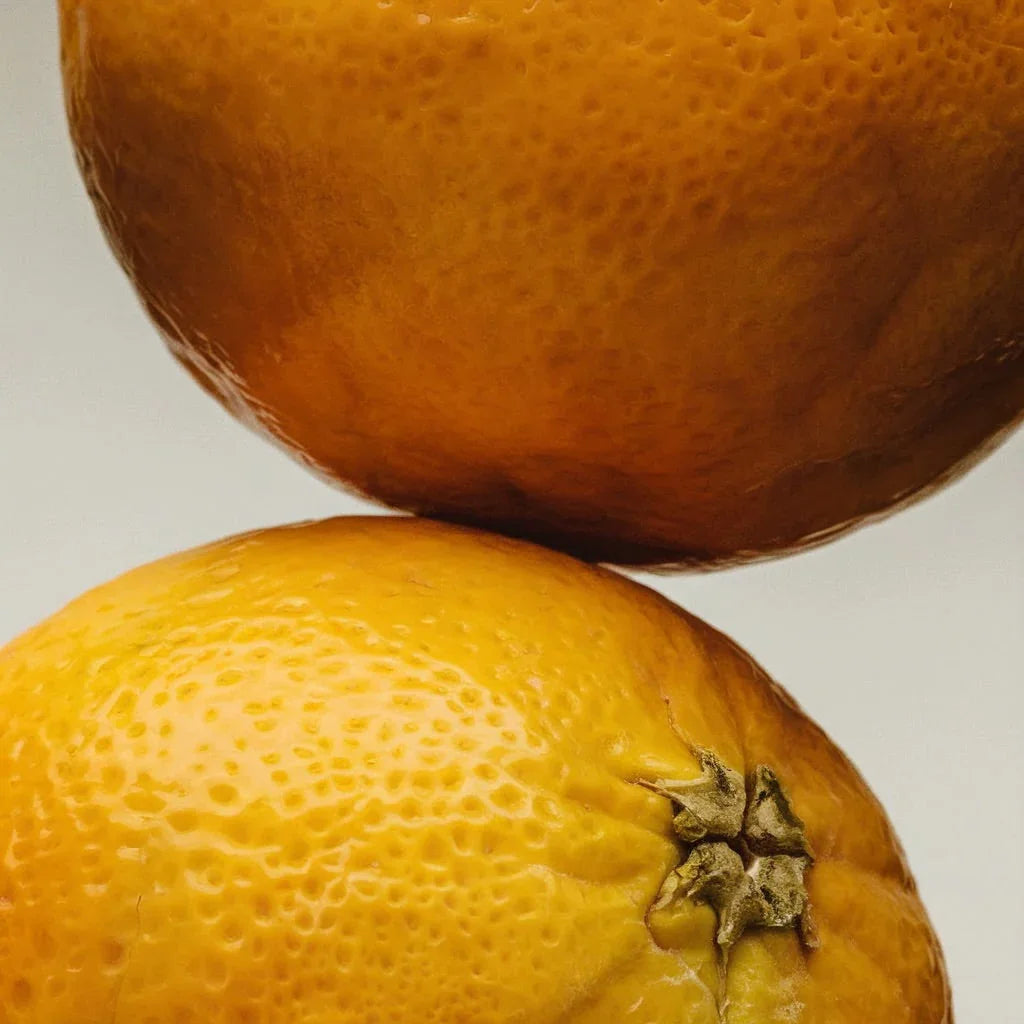 Grapefruit - Eau de Parfum - Delune