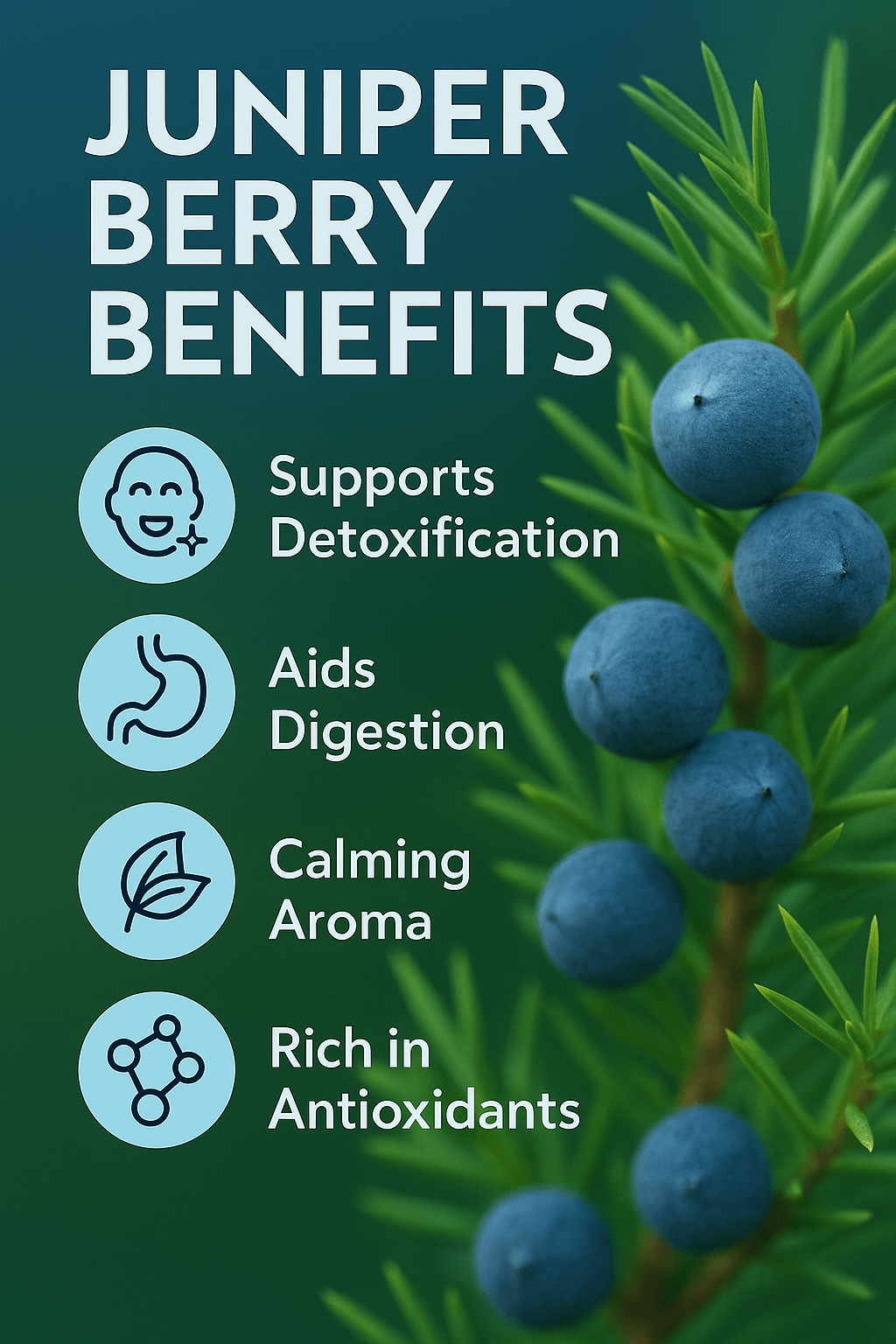 Juniper Berry Pure Essential Oil