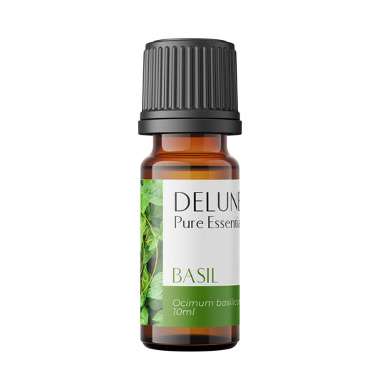Delune Basil Pure Essential Oil