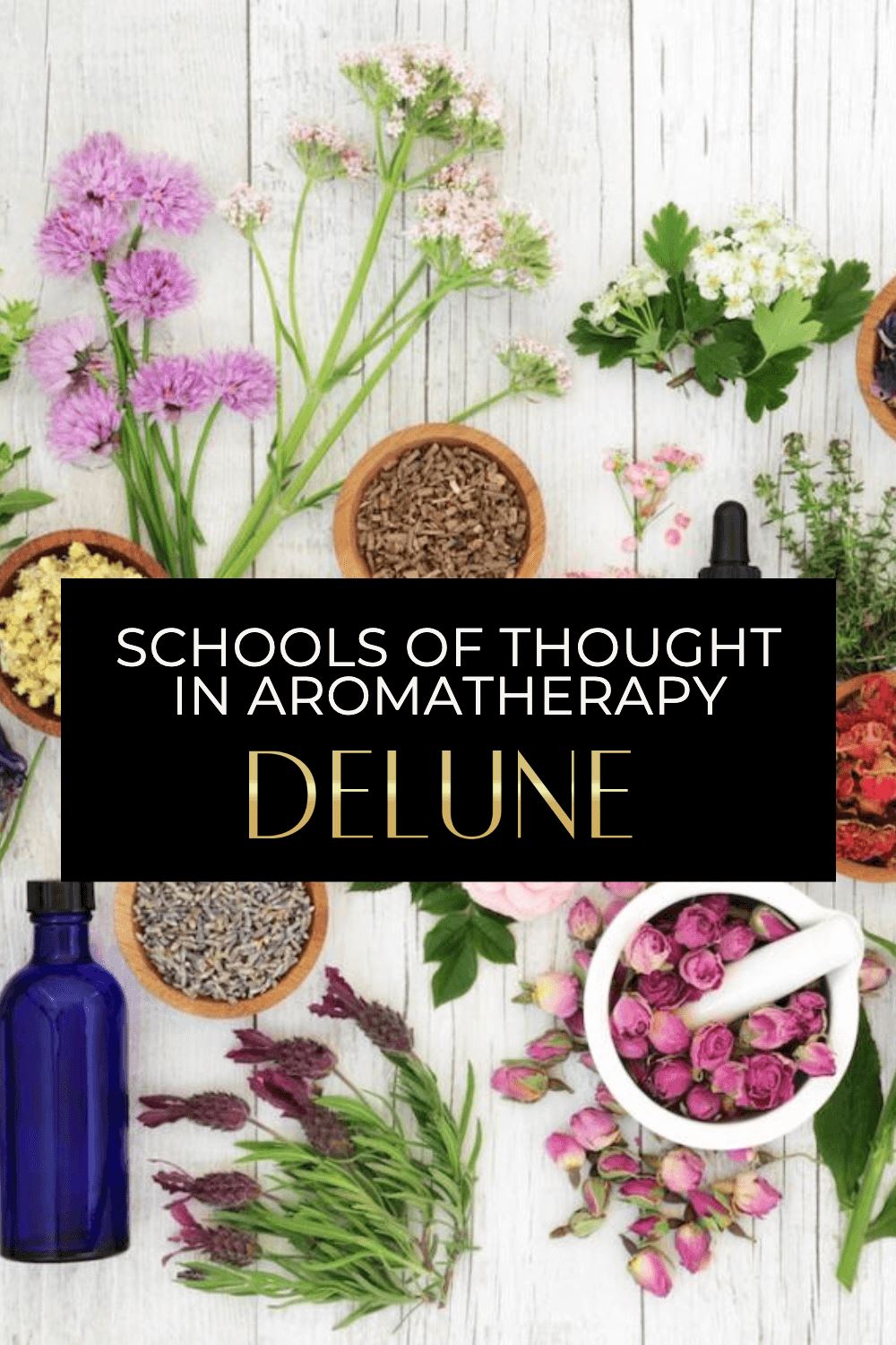 Schools of Thought in Aromatherapy