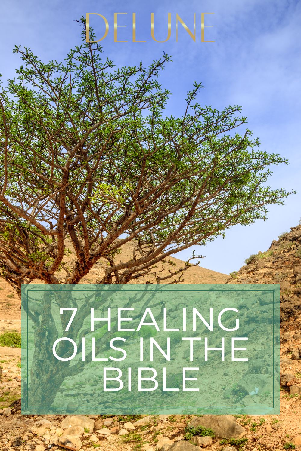 7 Healing Oils In The Bible