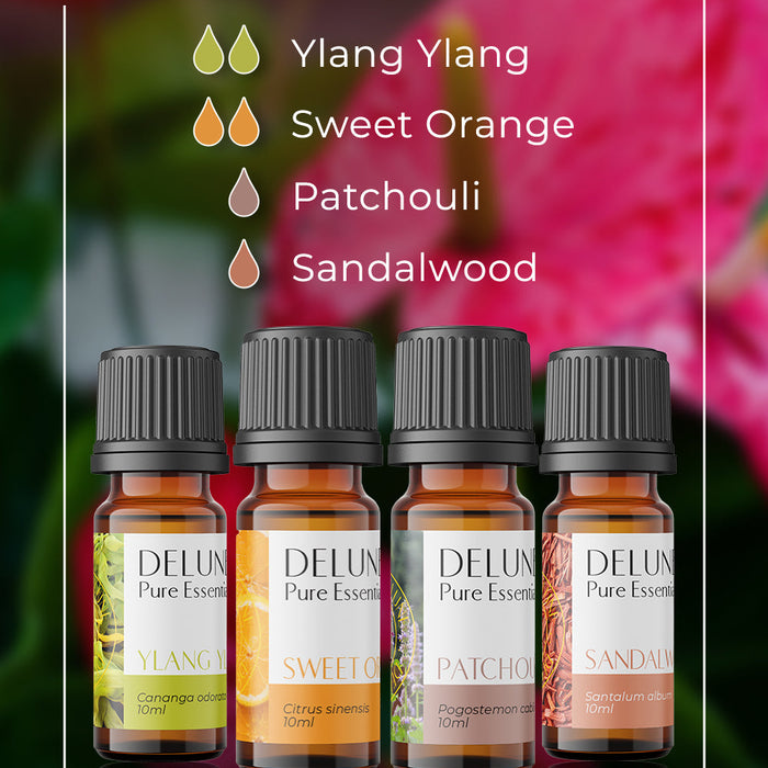 Exotic Nights - Diffuser Blend
