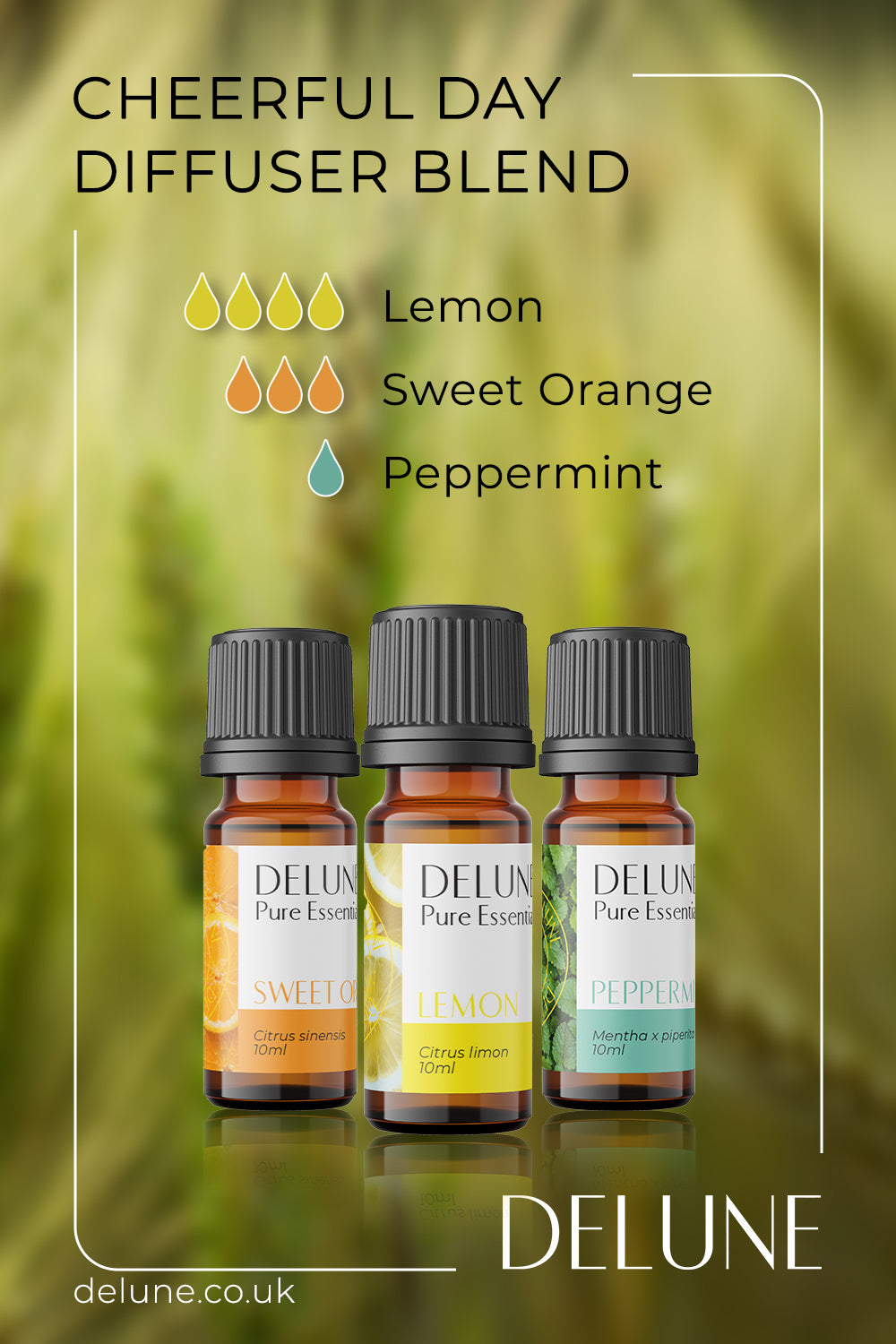 Cheerful Day - Diffuser Blend