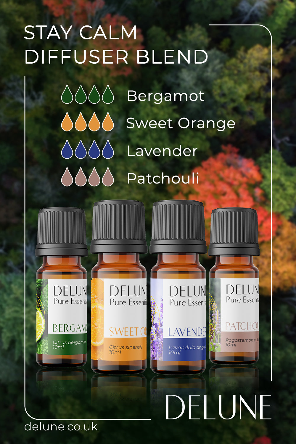 Stay Calm - Diffuser Blend