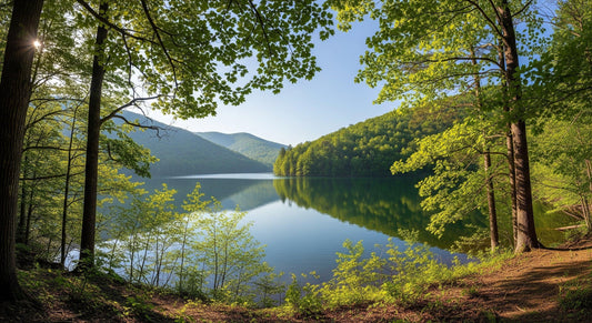 Nurturing the Nerve: Essential Oils for a Healthy Vagus Nerve - Delune 