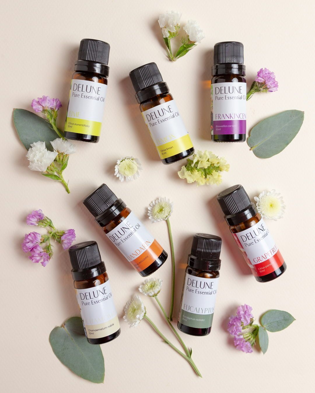 Essential Oils vs. Fragrance Oils: Choosing Nature's Purity