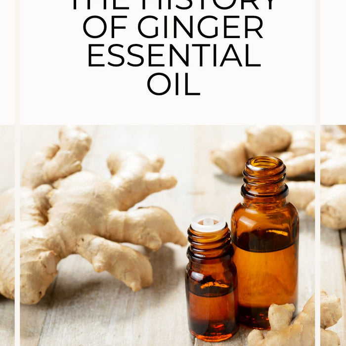 The History of Ginger Essential Oil