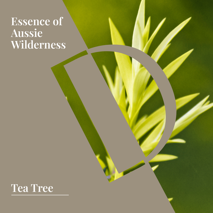 Tea Tree Organic Wellness Grade Essential Oil