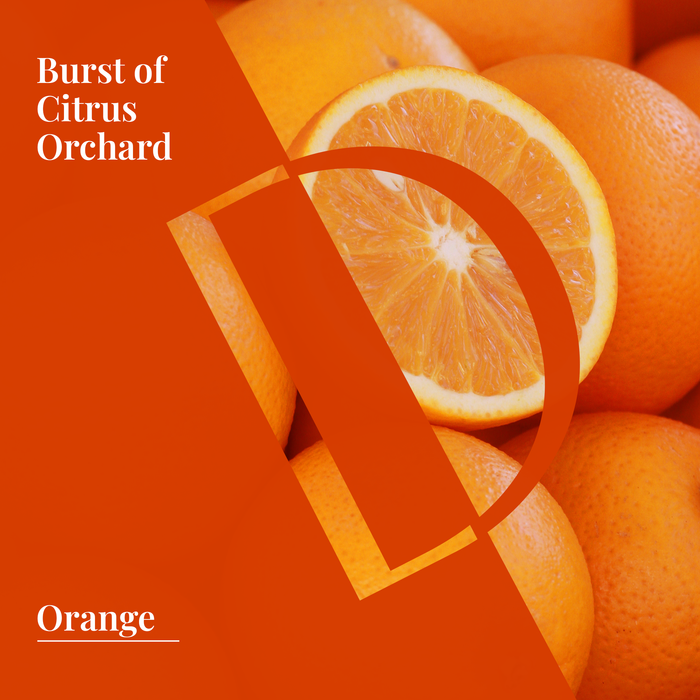 Sweet Orange Organic Wellness Grade Essential Oil