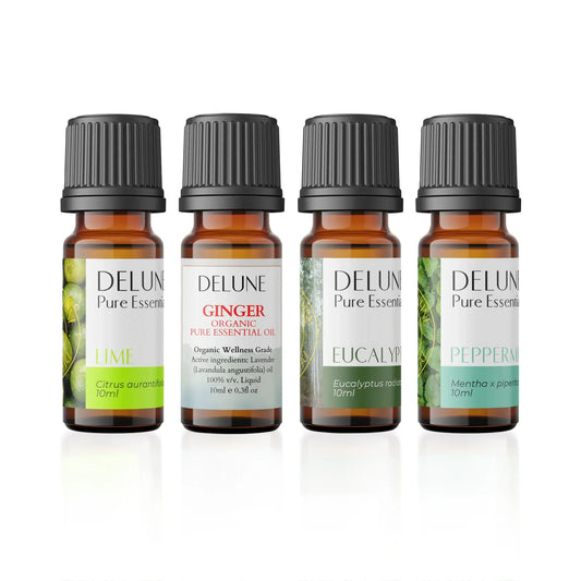Alt Tag: Smell Training 4 Pack Set - Delune Pure Essential Oils including Lime, Ginger, Eucalyptus, and Peppermint bottles.