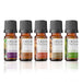 Delune Oils of The Bible - 5 Pack Set