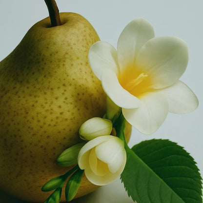 Pear & Freesia Bloom - Eau de Parfum