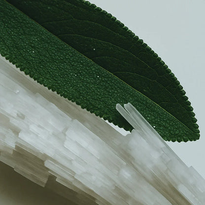 Sea Salt & Sagewood - Eau de Parfum - Delune 