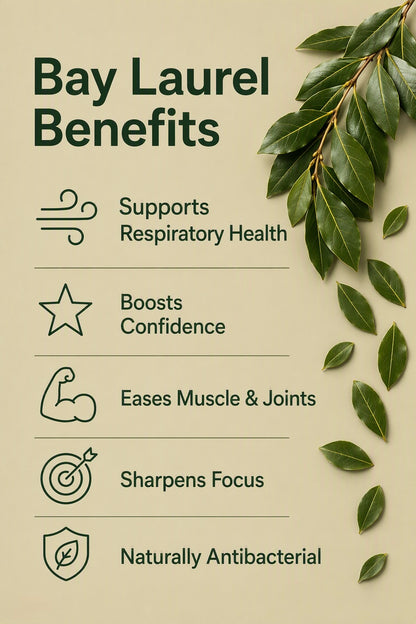 Bay Laurel Pure Essential Oil Benefits