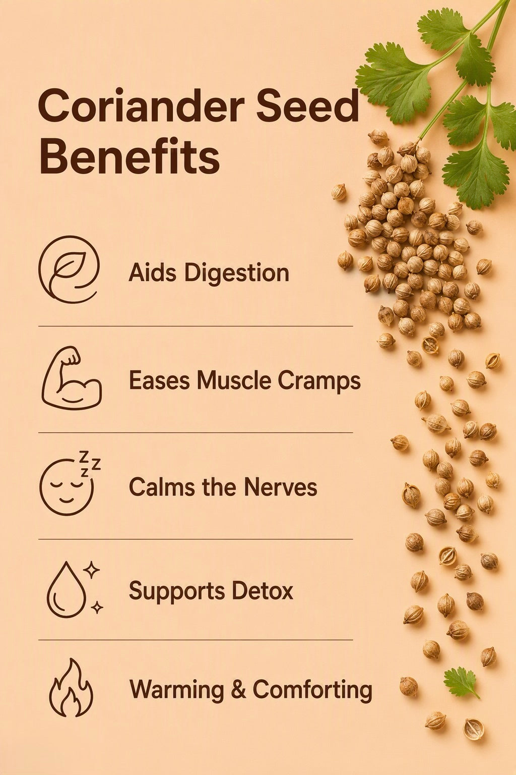 Coriander Seed Pure Essential Oil Benefits