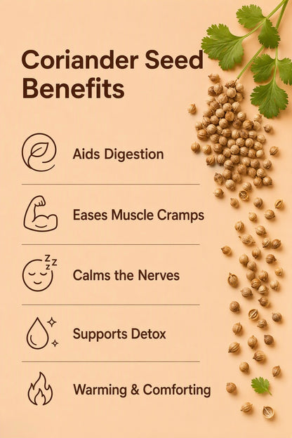 Coriander Seed Pure Essential Oil Benefits
