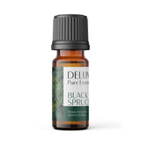 Black Spruce Pure Essential Oil
