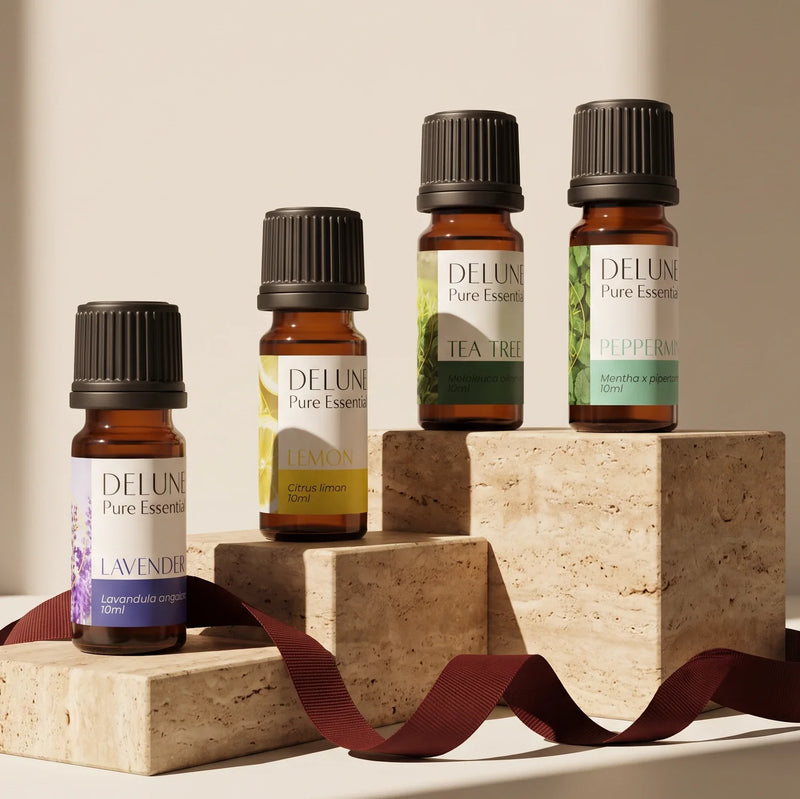 xmas:essential-starters-4-pack-set:1