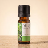 Citronella Pure Essential Oil