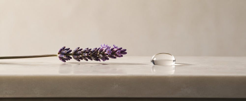 Lavender Squalane collection story
