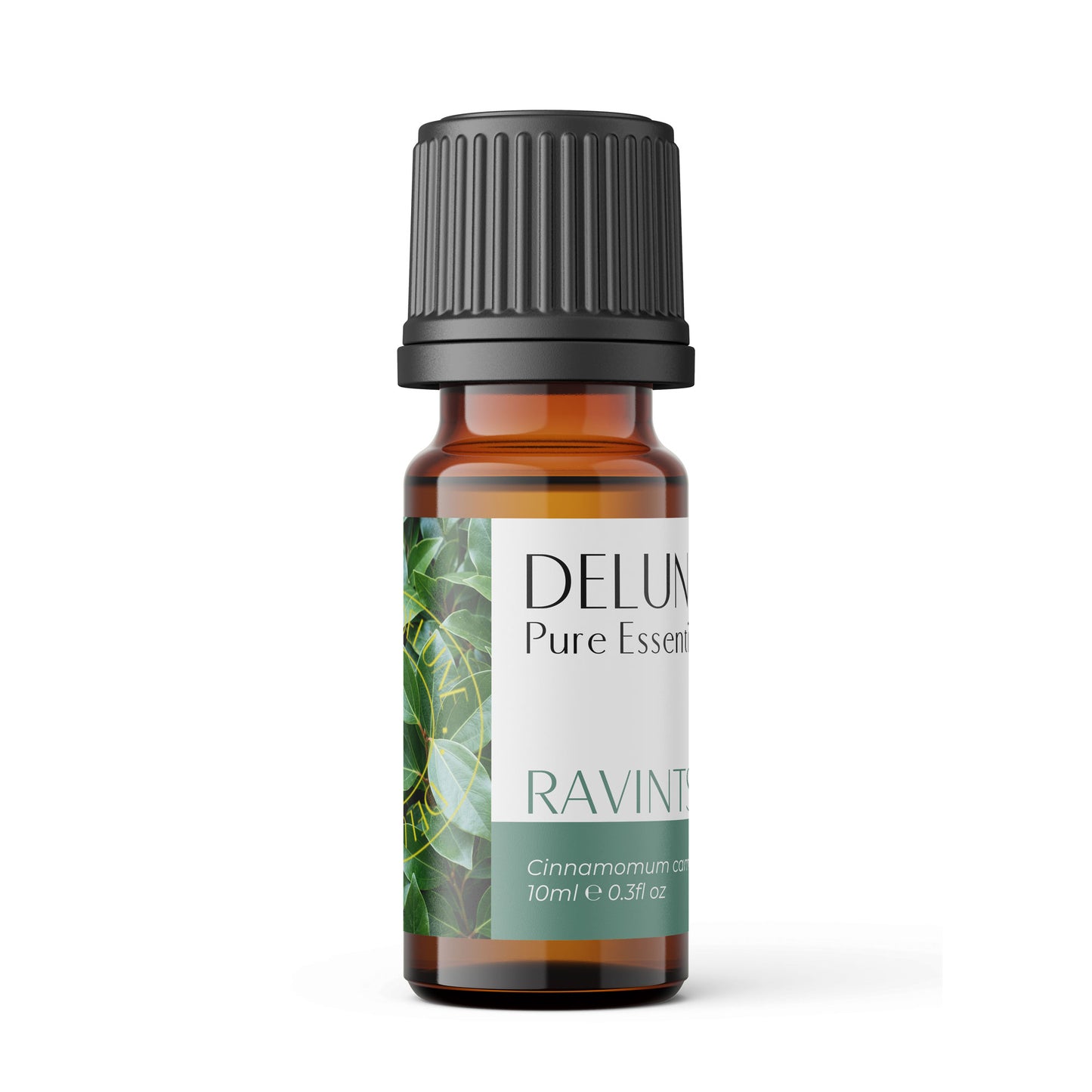 Ravintsara Pure Essential Oil