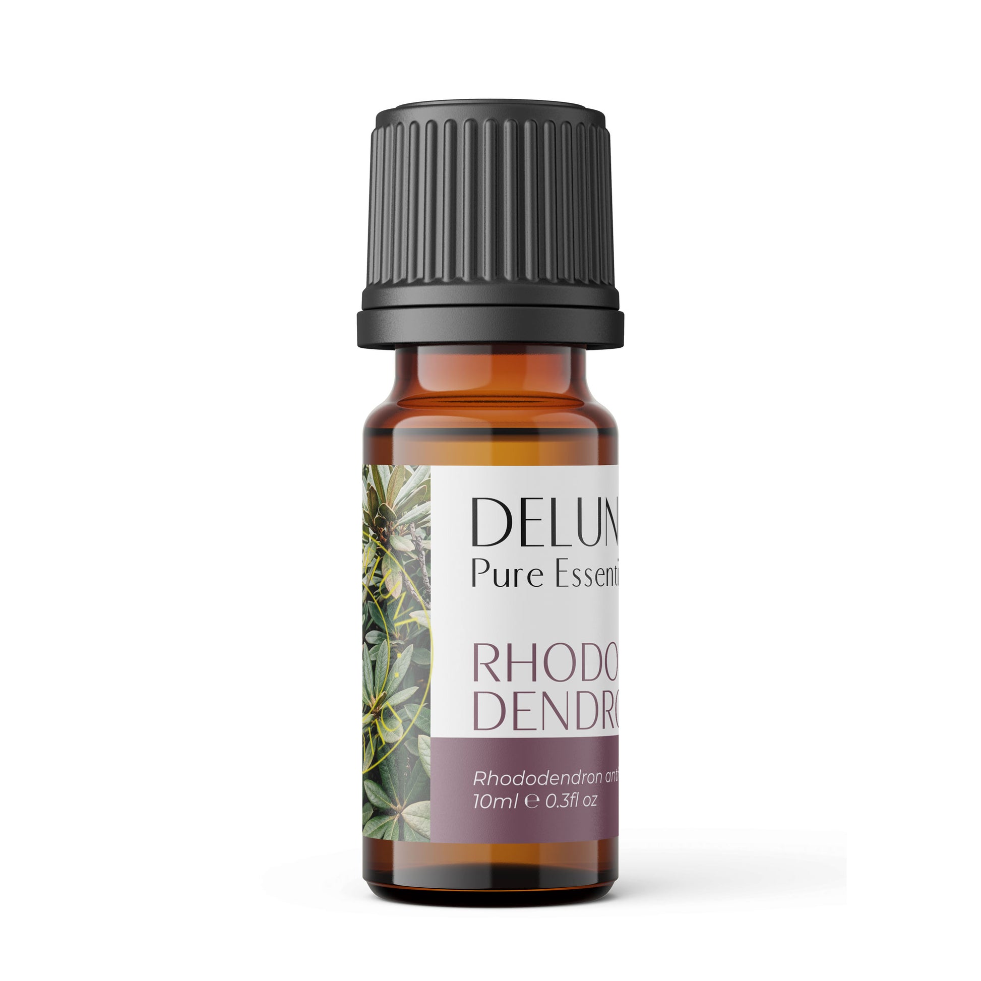Rhododendron Leaf Pure Essential Oil