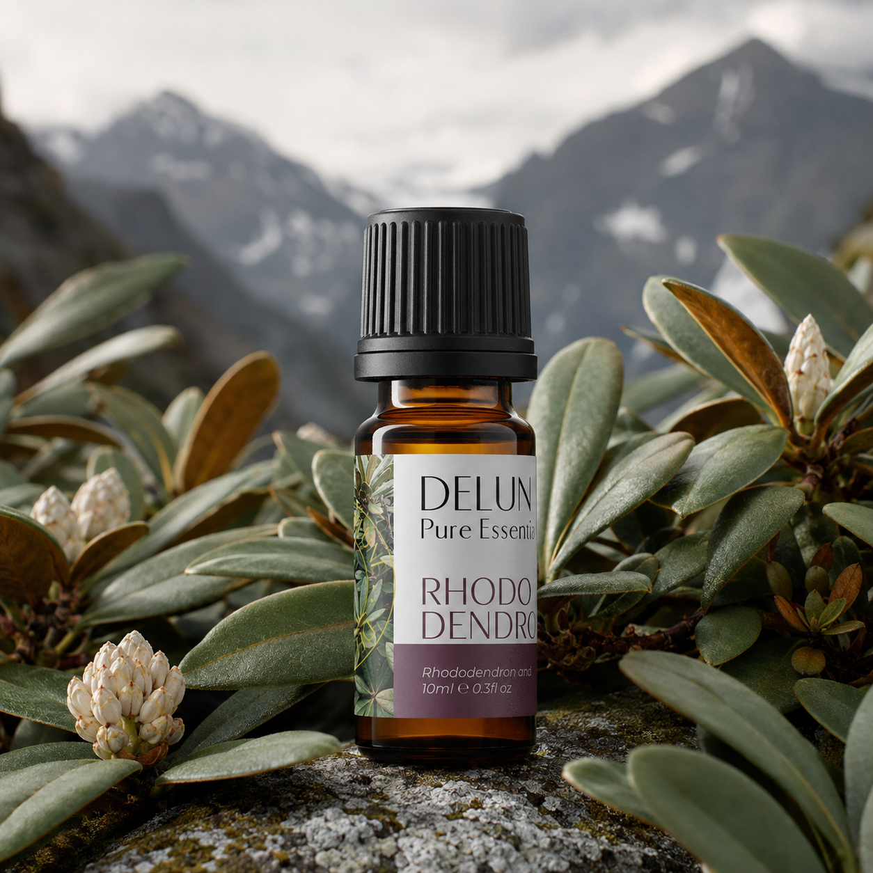 Rhododendron Leaf Pure Essential Oil with alpine rhododendron foliage
