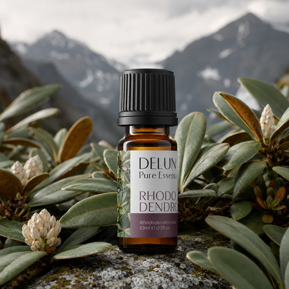 Rhododendron Leaf Pure Essential Oil with alpine rhododendron foliage