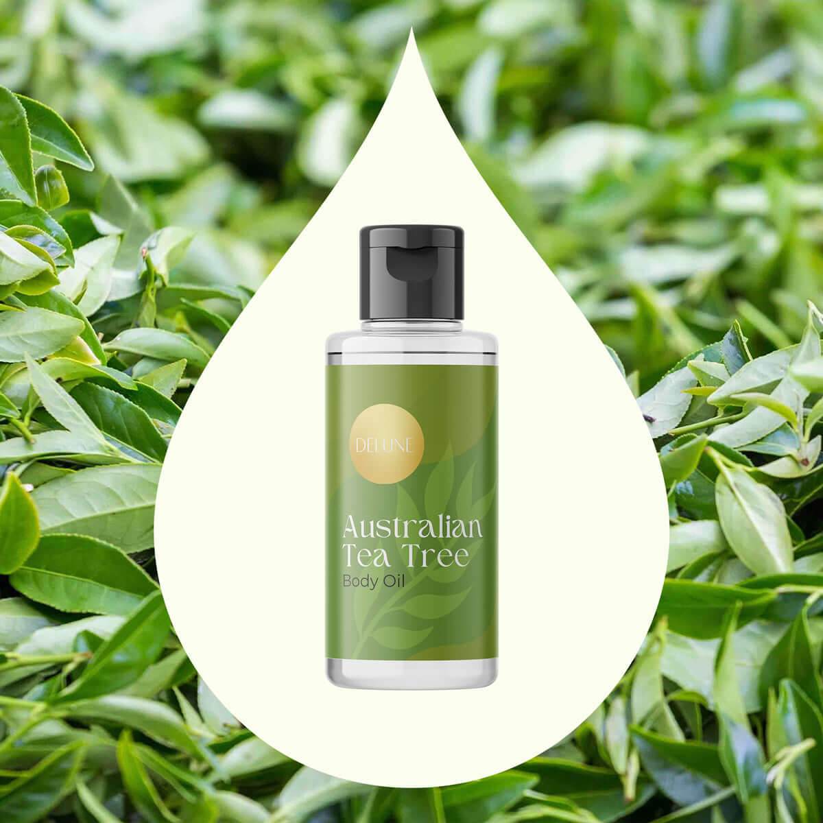 Delune Tea Tree Body Oil bottle with antiseptic properties for skin cleansing and protection