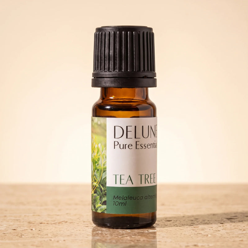 Delune Tea Tree Pure Essential Oil, 10ml amber glass bottle on warm travertine stone