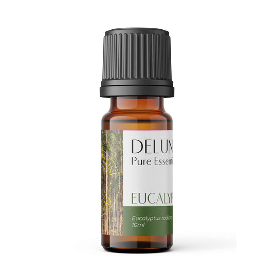 Eucalyptus Pure Essential Oil