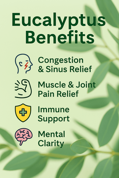 Eucalyptus Pure Essential Oil