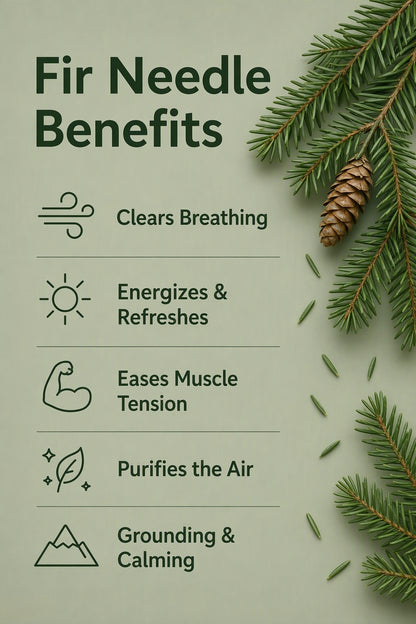Fir Needle Pure Essential Oil Benefits
