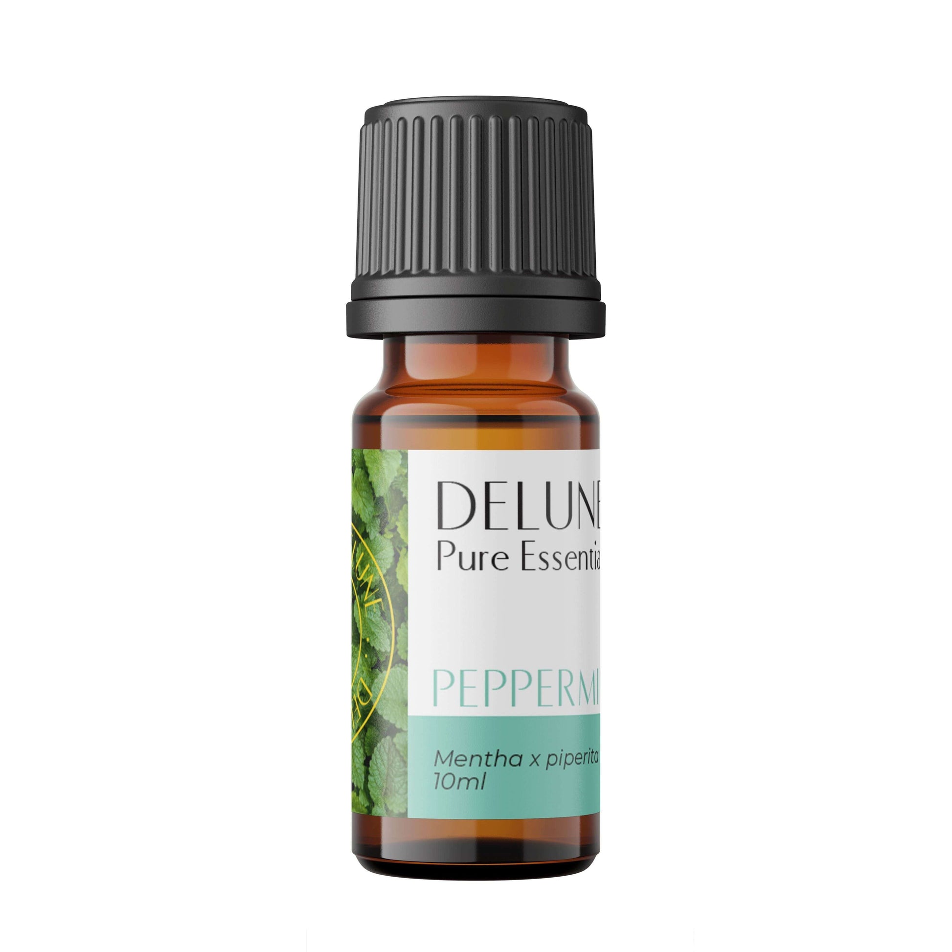 Peppermint Pure Essential Oil bottle showcasing cooling properties for respiratory support and muscle relief. 10ml size.